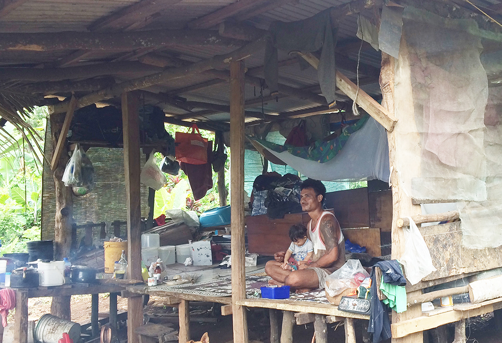 Parramatta Eels on comeback trail in National Rugby League