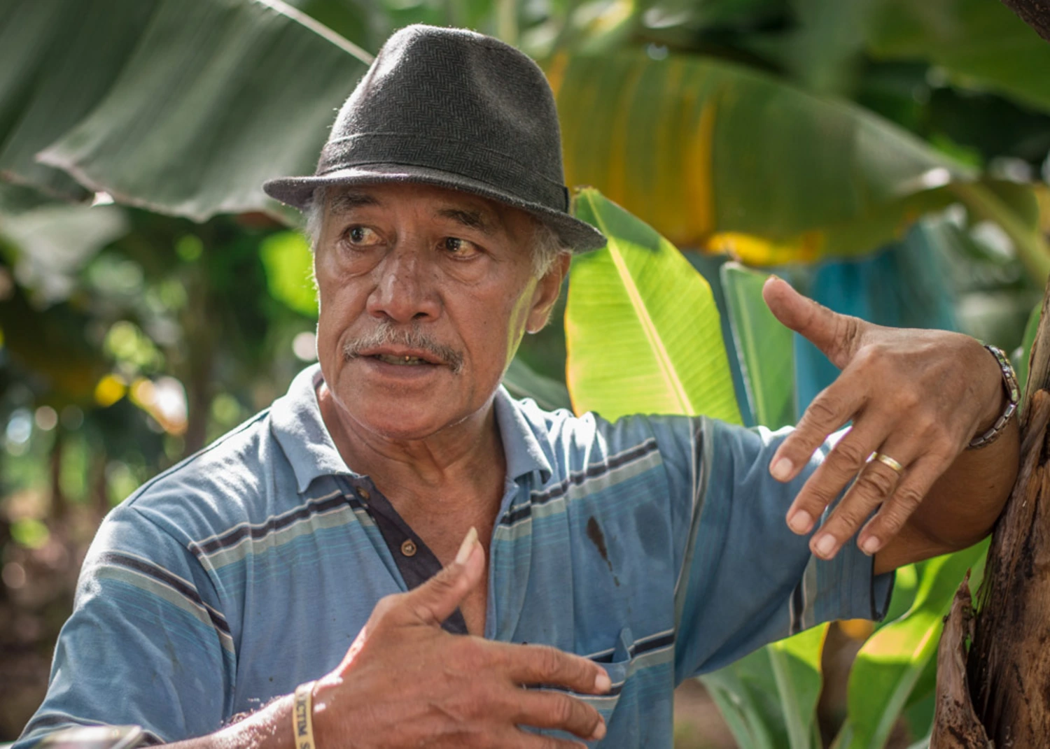 Former MP Passes Away