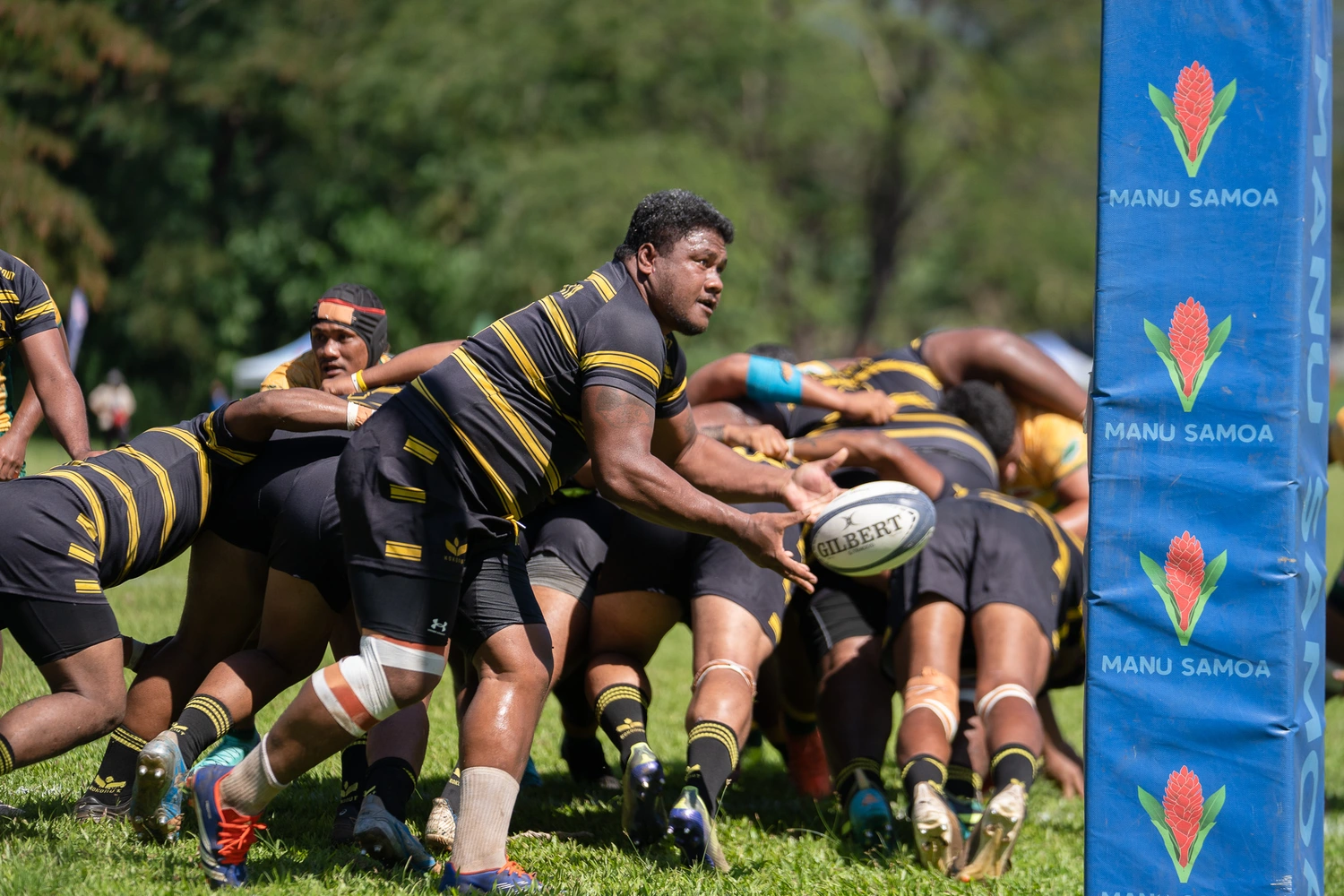Aid for Samoa, Fiji and Tongan rugby
