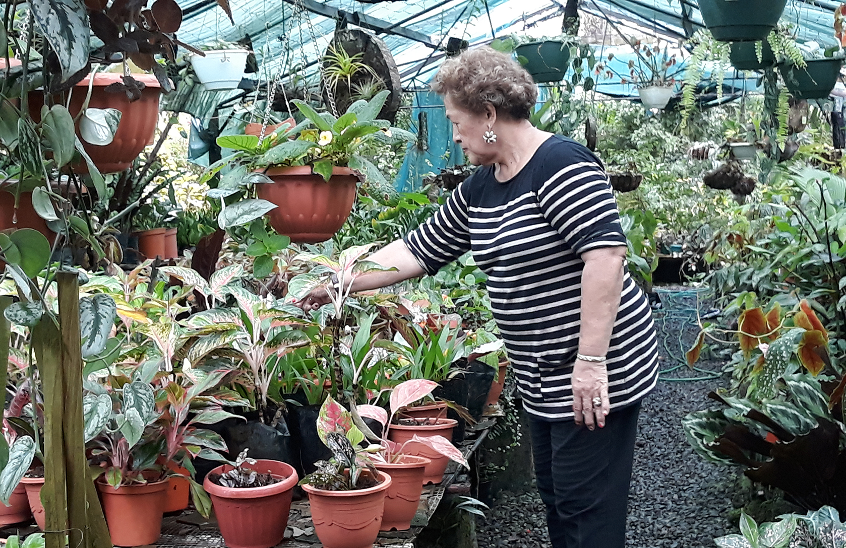 Cosby lawyers fight deposition of his wife in lawsuit