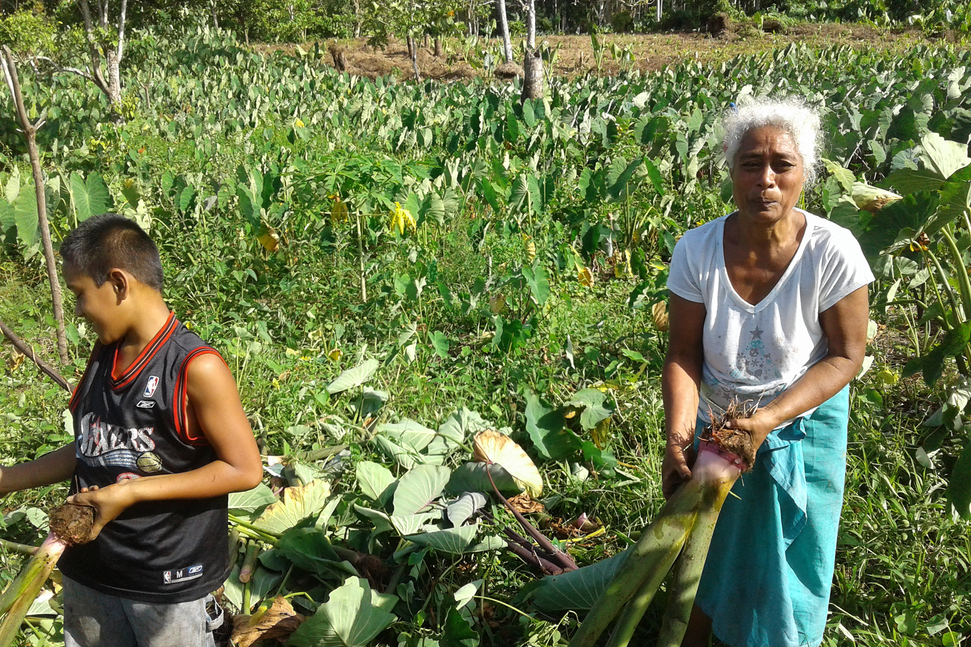 Leading Disney parks 'Imagineer' Martin Sklar dies at 83