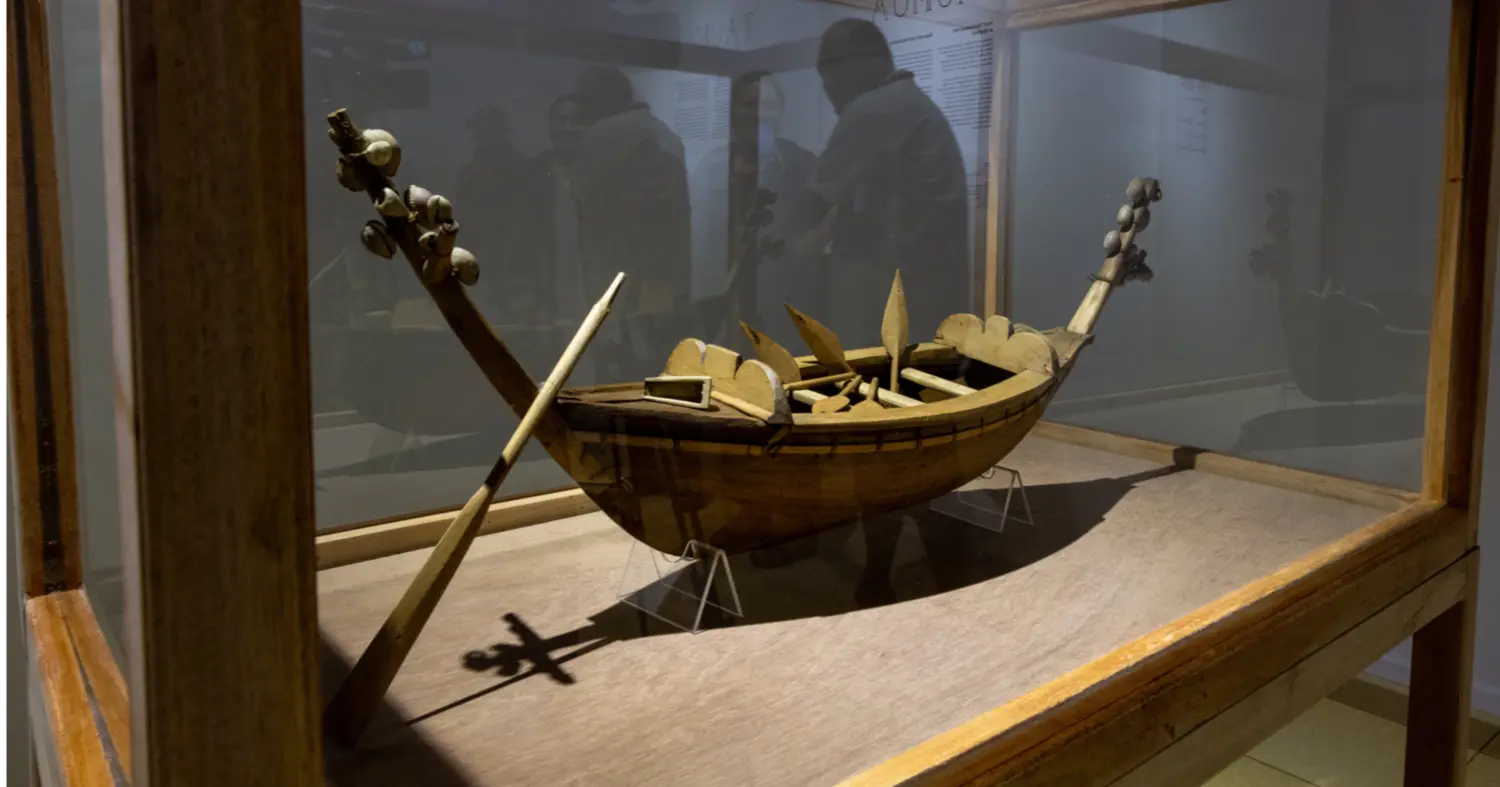 Measina are home and on display