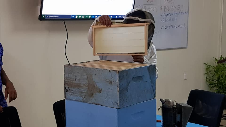 Investing in bees for food security