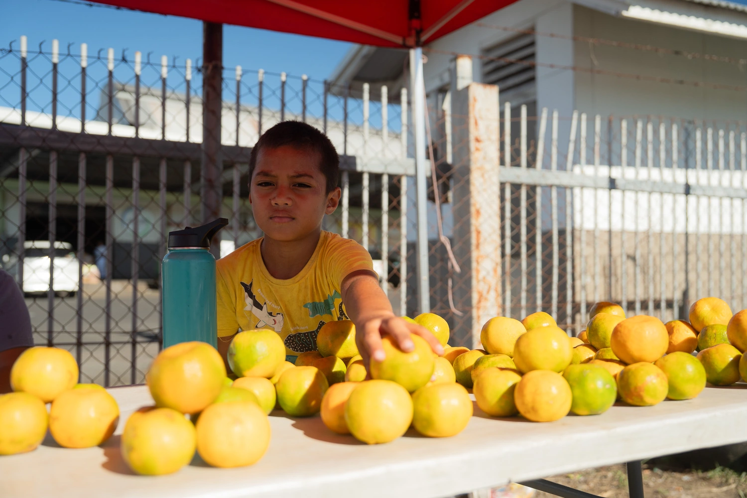 Mandarin season brings hope for Savai'i families