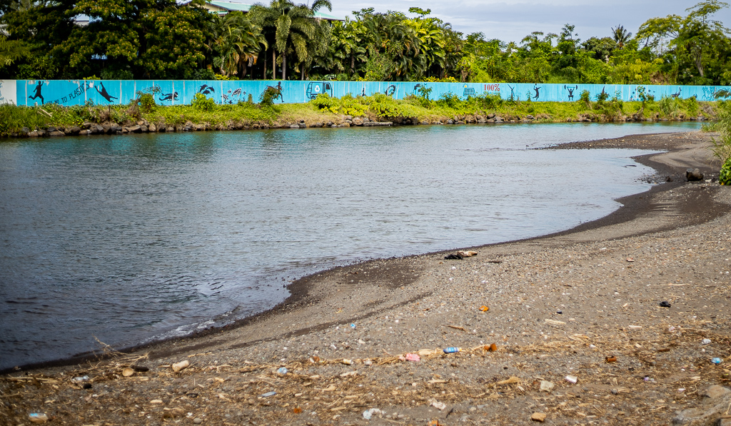 E. coli bacteria found in all Upolu's waterways