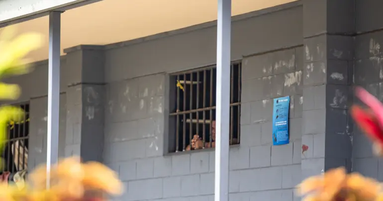 Unalei-linked man charged locally, Vaa and Tofa charged with murder in Vietnam