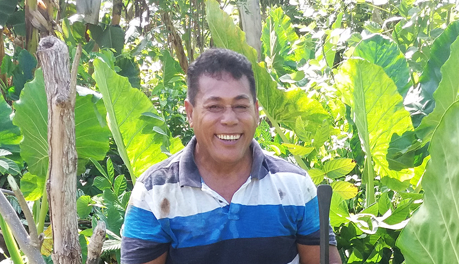 Bellew stuns Haye with 11th-round stoppage