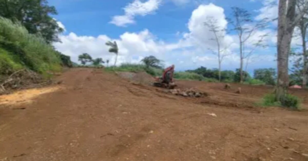 25 April 2026, 5:00PM