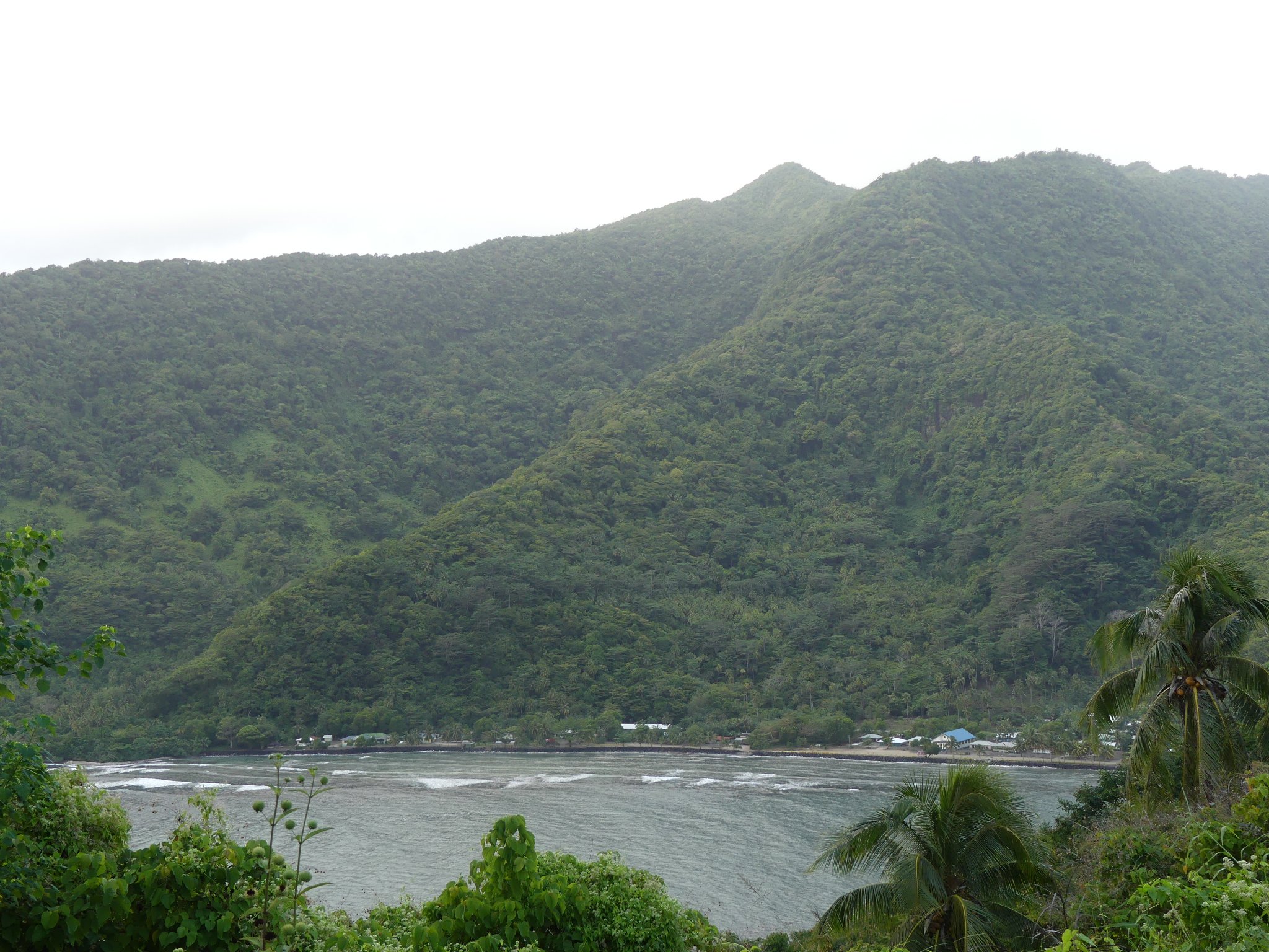 Make Uafato a lifetime conservation area