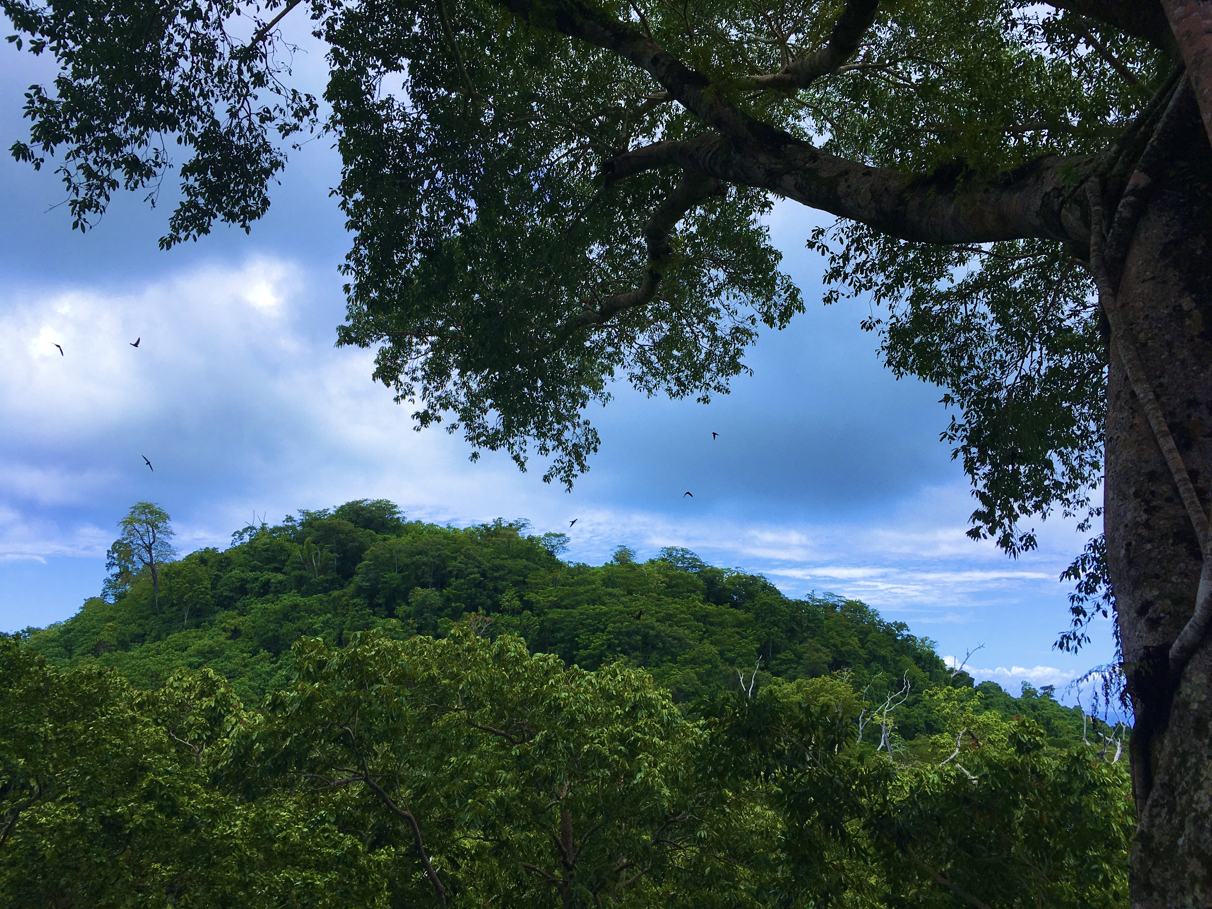 Historical, natural sites need funding: experts