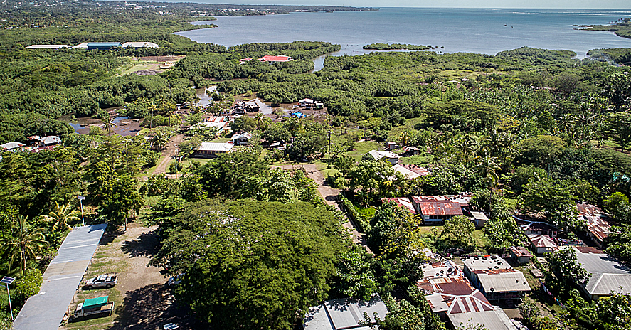 A Minister’s statement that shot P.U.M.A. in the foot