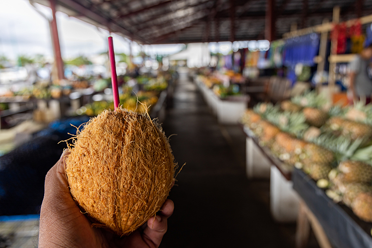 $10 for a coconut drink