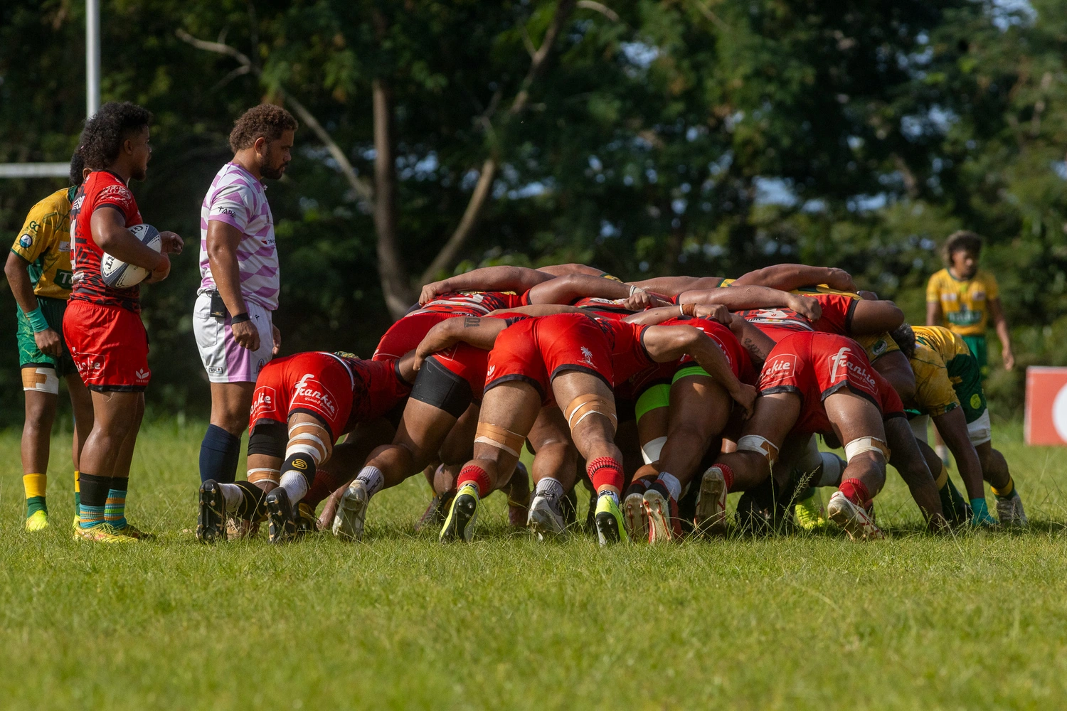 Rugby money stopped, PM plans new union