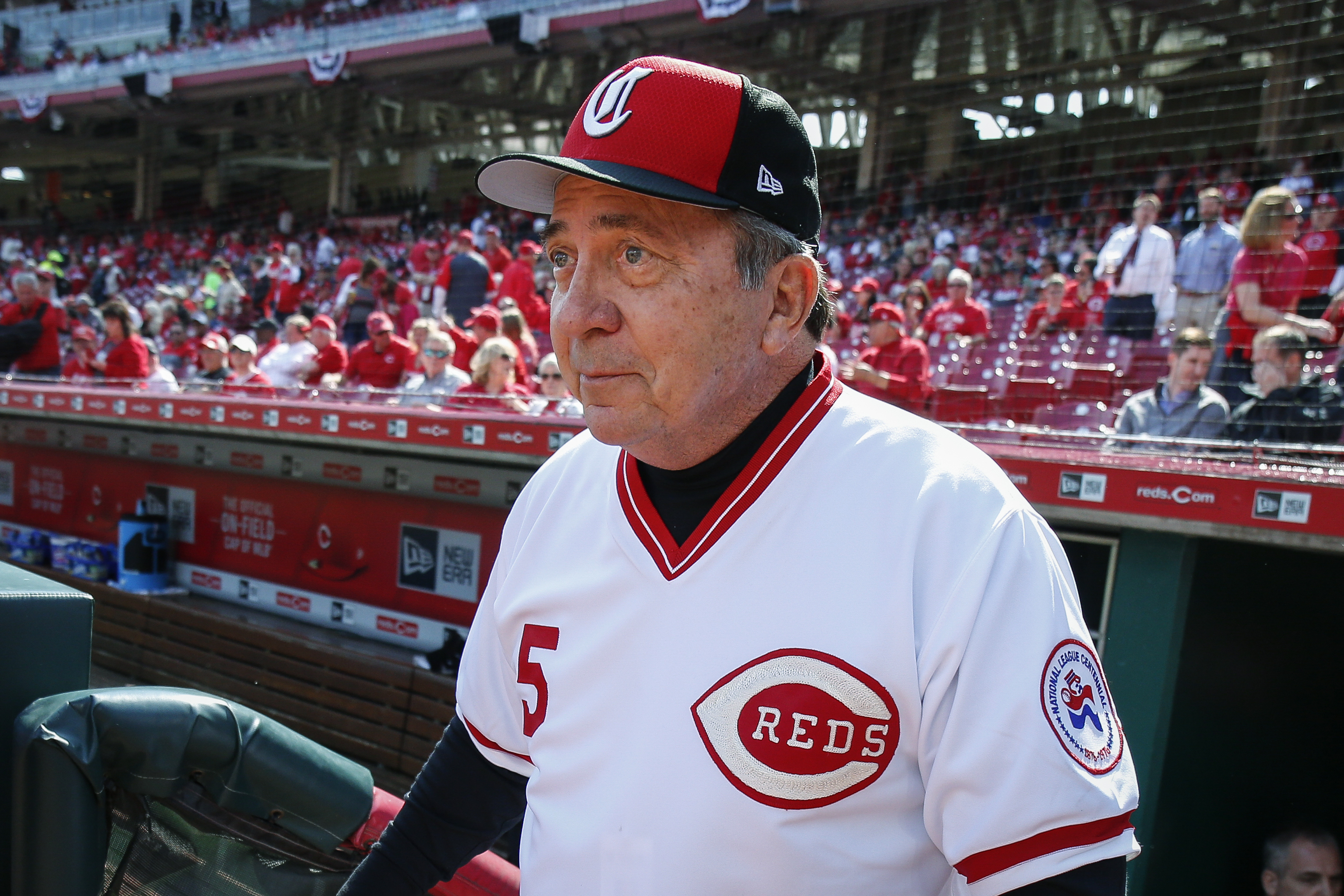 Catch it: Hall of Famer Johnny Bench to auction memorabilia