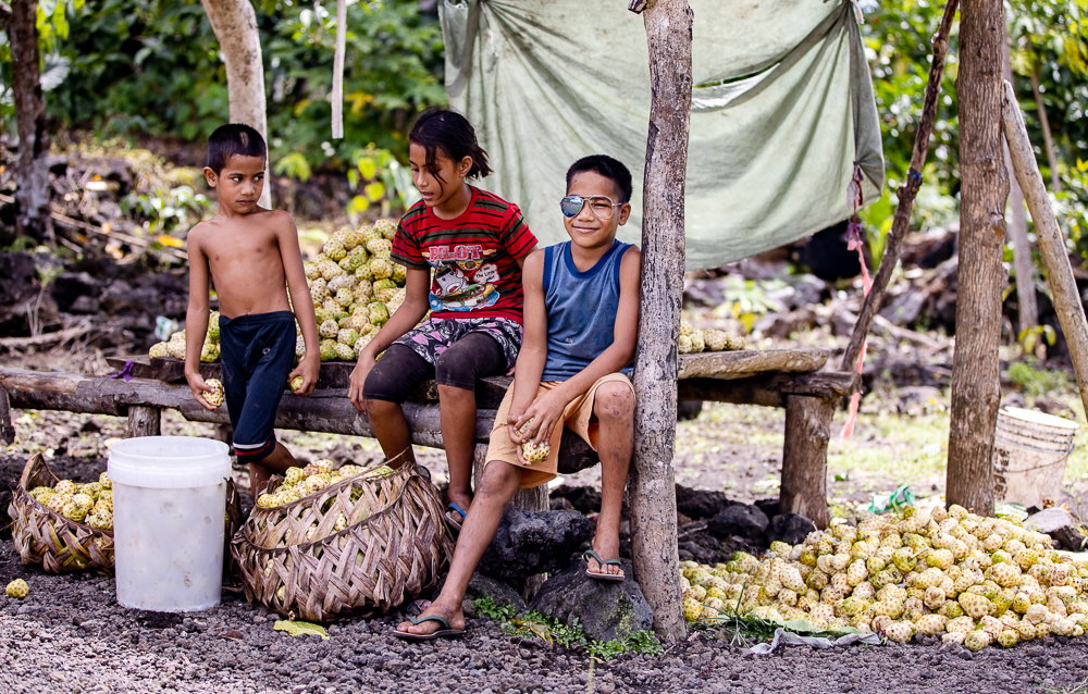 'Luxury' nonu everyday sustenance for Saanapu family