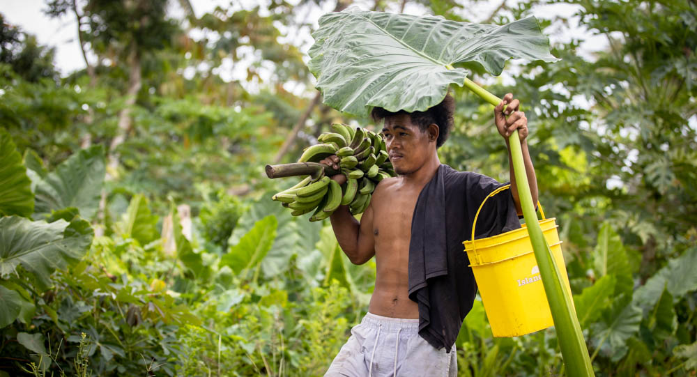 Agricultural innovation more important than ever: F.A.O.