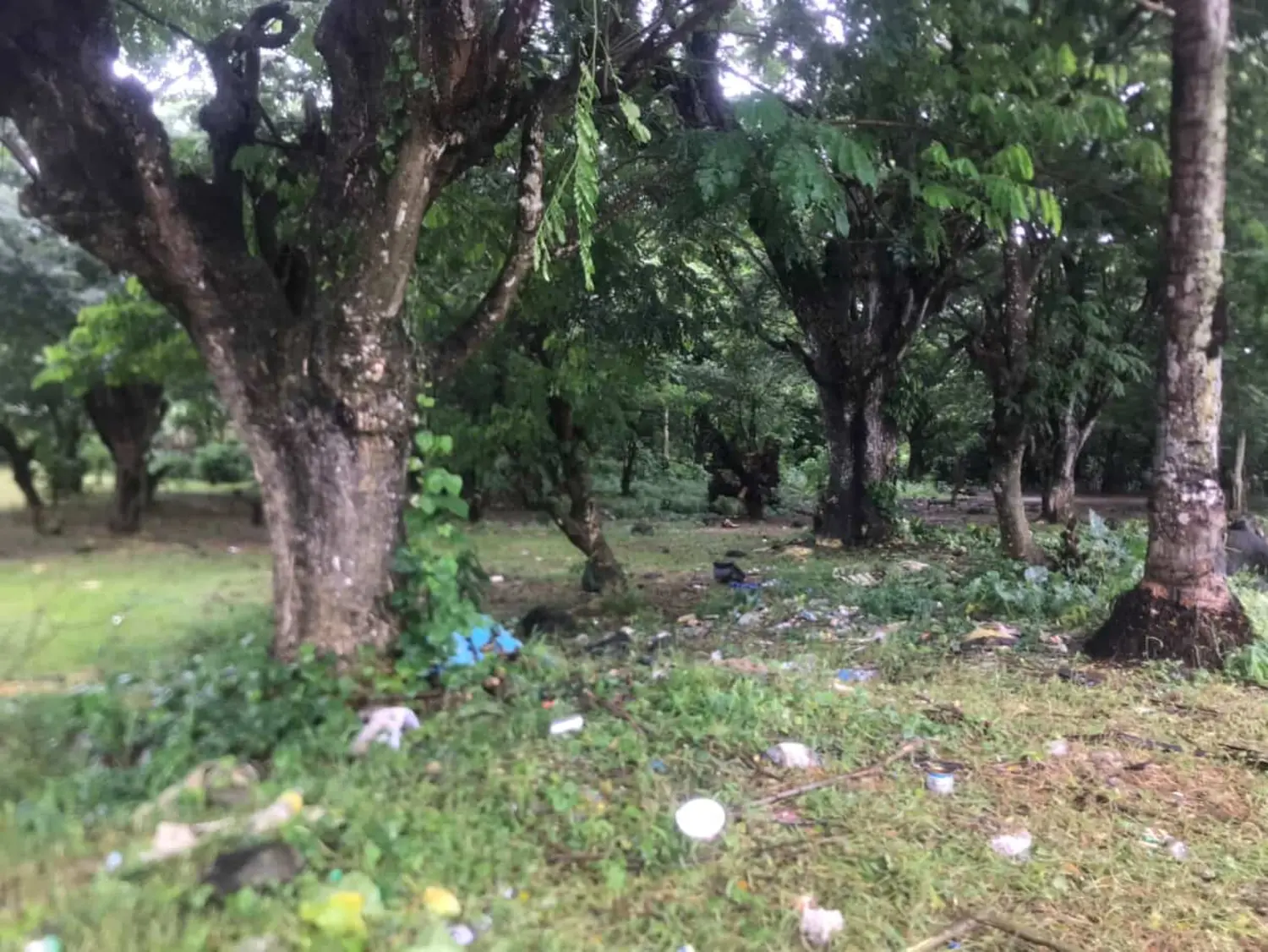 Rubbish and foul smell persist at Vaitele Uta