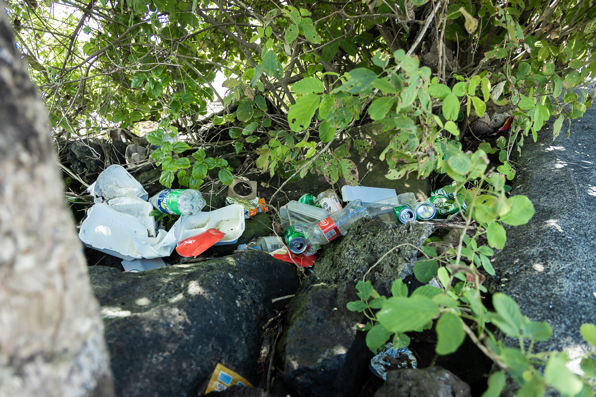 Rubbish buildup alarms restaurant owner