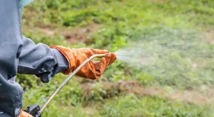 A.P.S. revives call for ban on weed killer