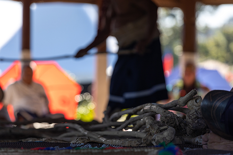  Ava and Noni could be Samoa's biggest exports