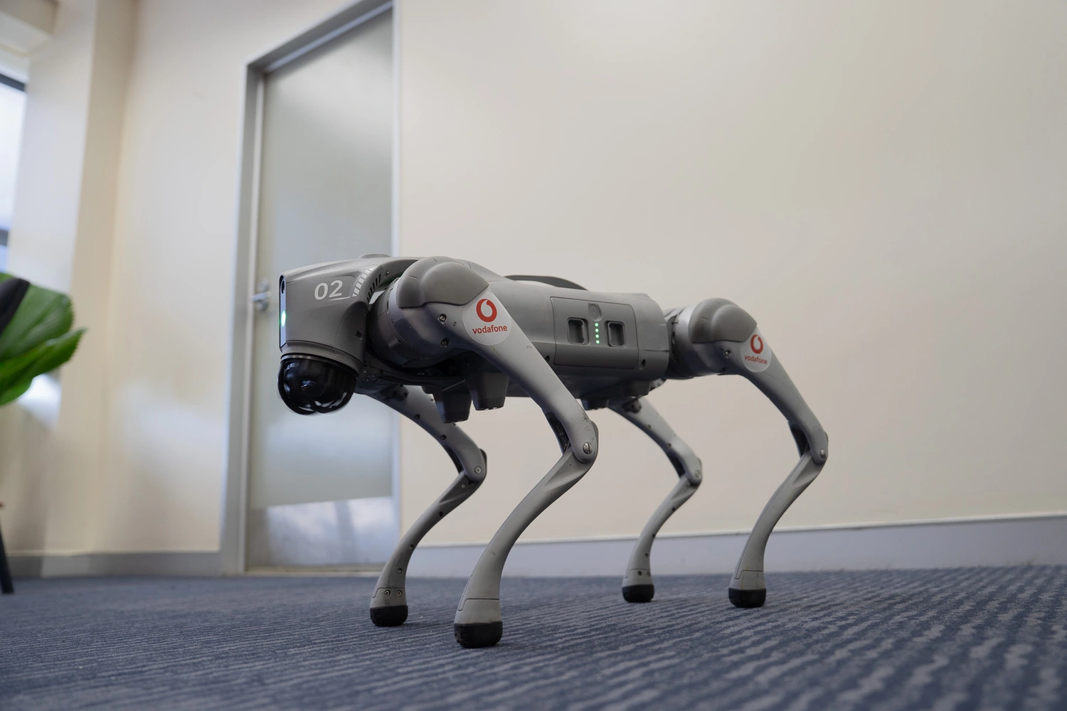 Robo-Dog to lead Vodafone's Independence march