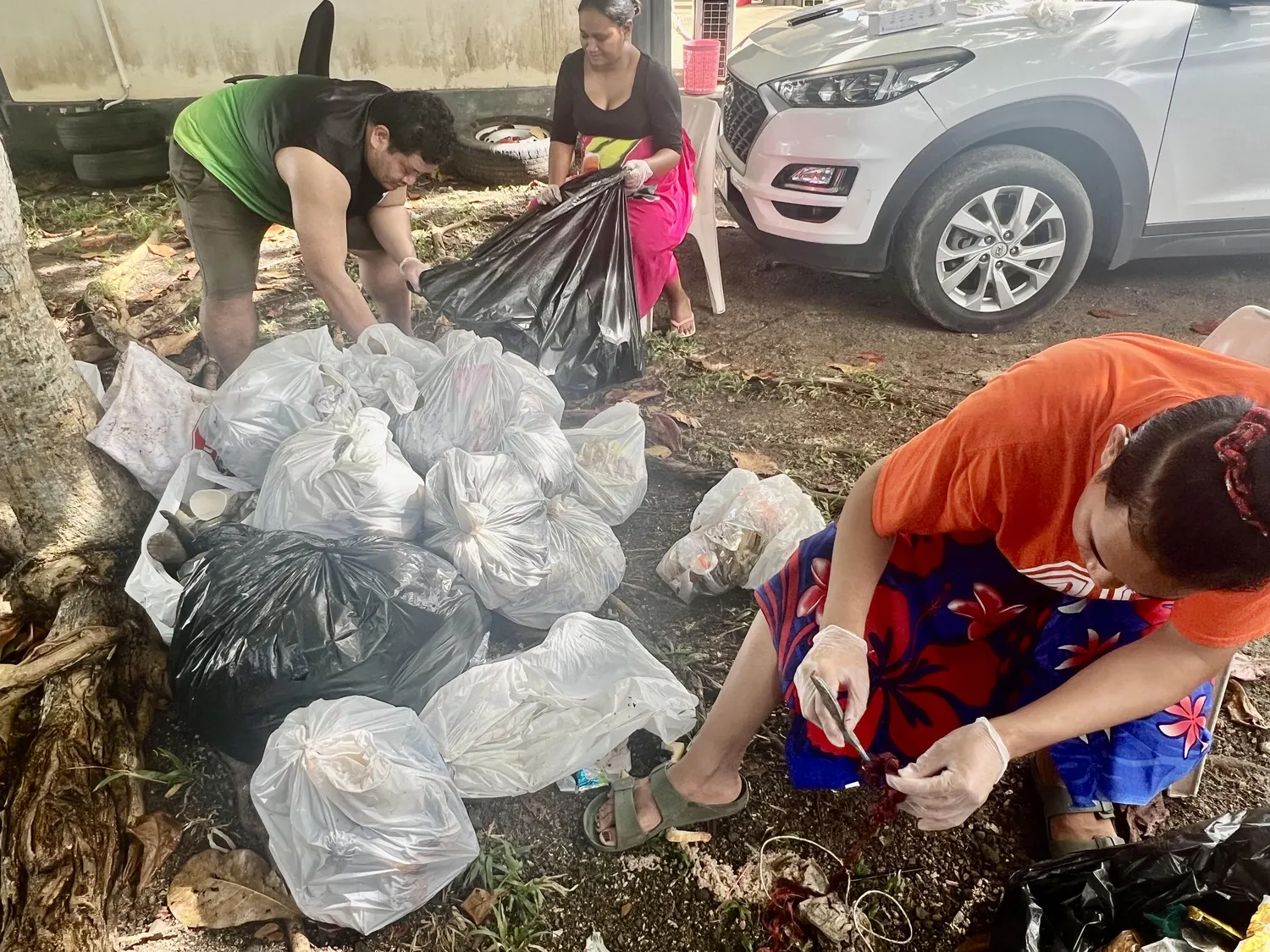Youths clean up mangrove
