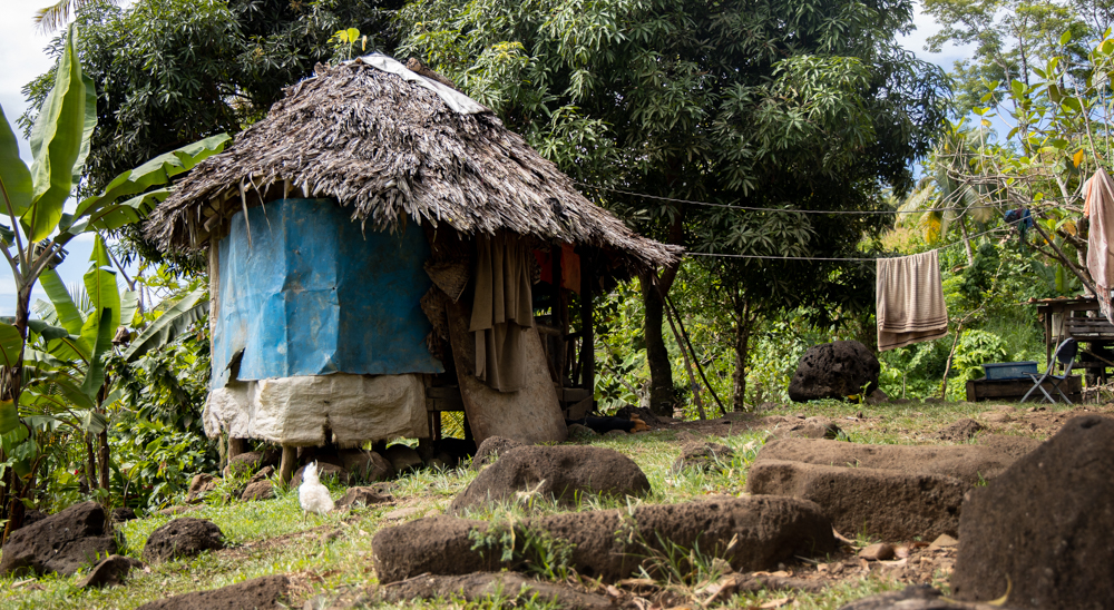 Family seeks safe future for children