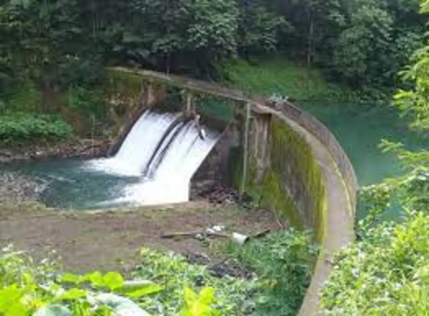 Renewable energy target on track 