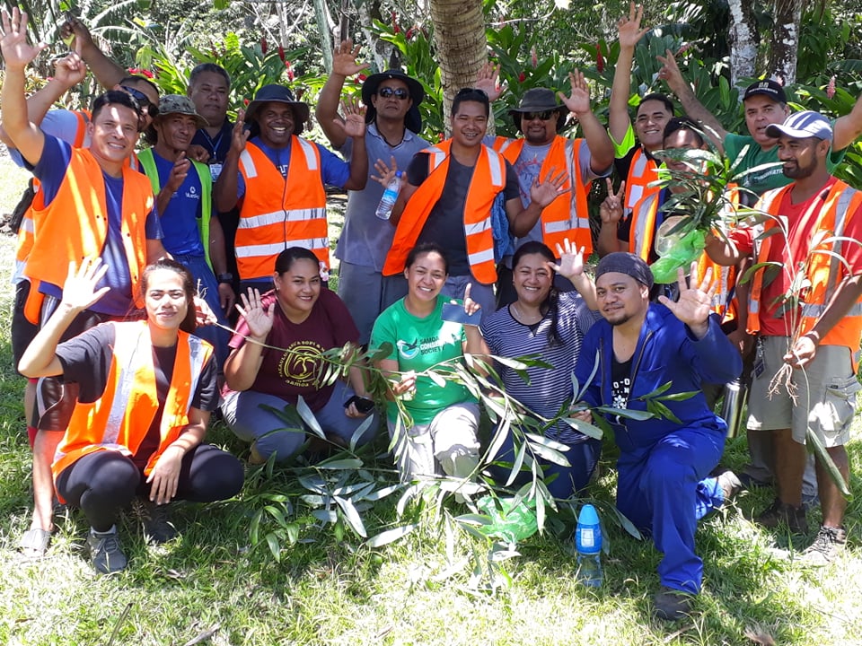 Rattan eradication nearing completion