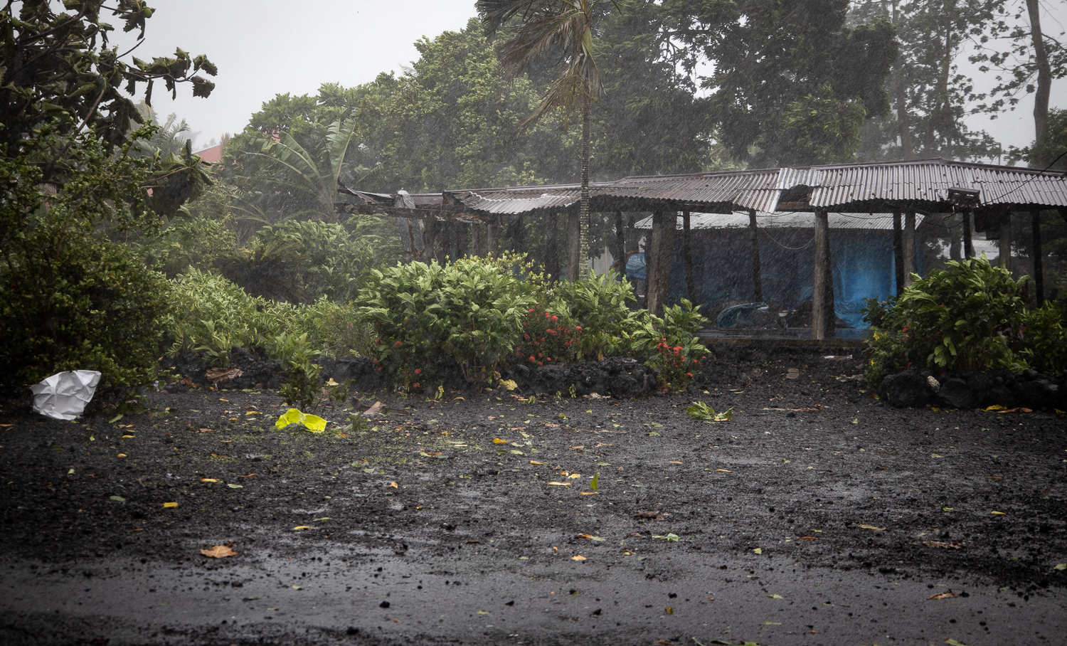 Tropical Depression upgraded; wild weather forecast