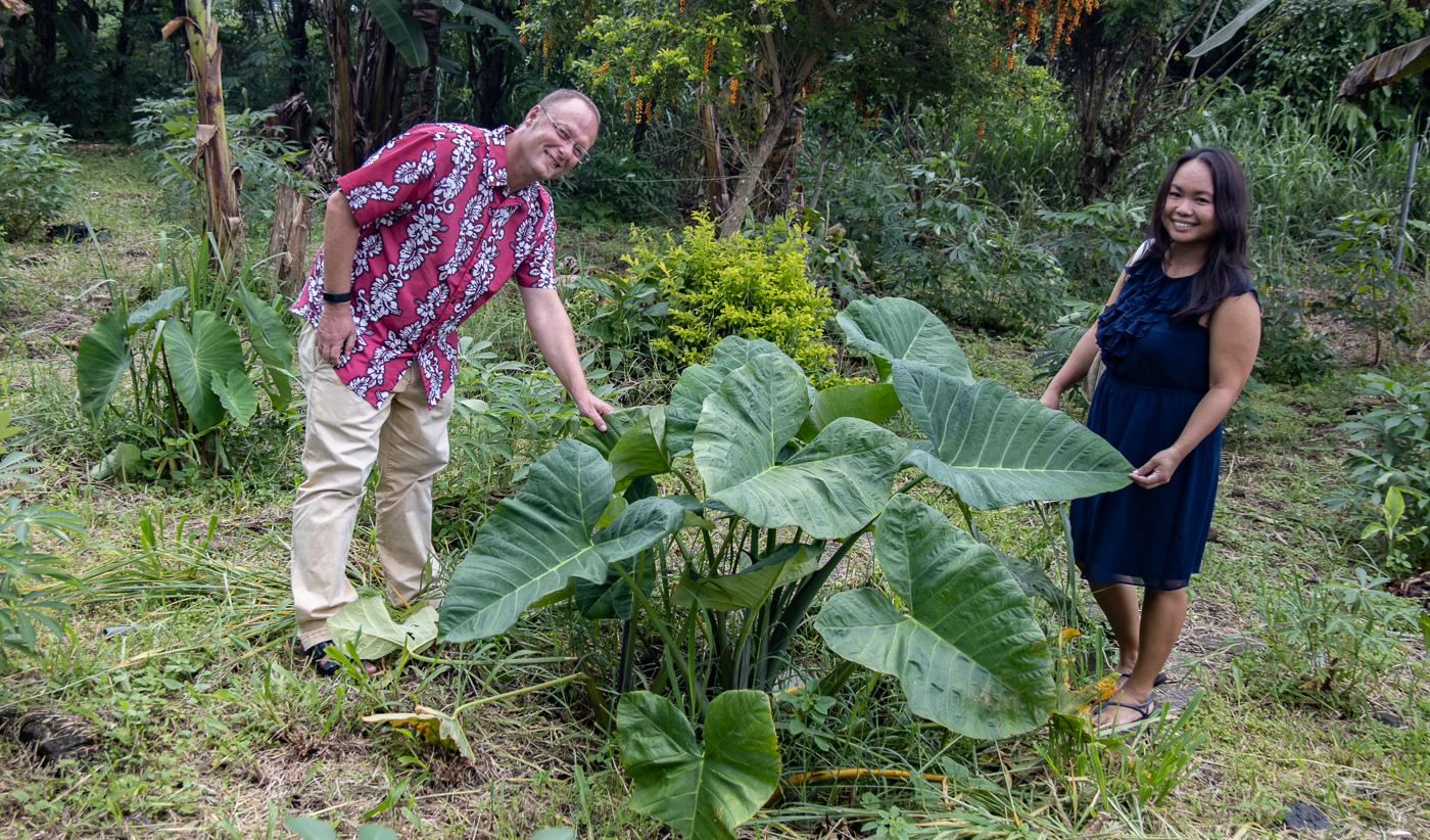 Plans should be evidence based: agritourism research underway