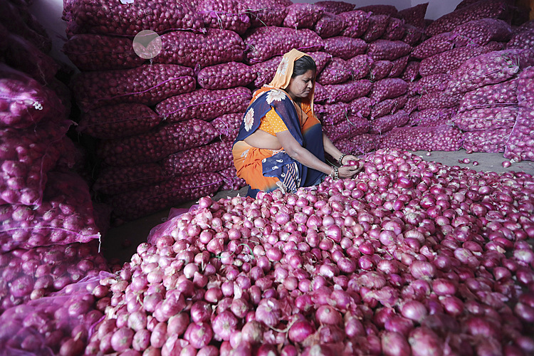 Onion crisis raises a stink for India's Prime Minister Modi