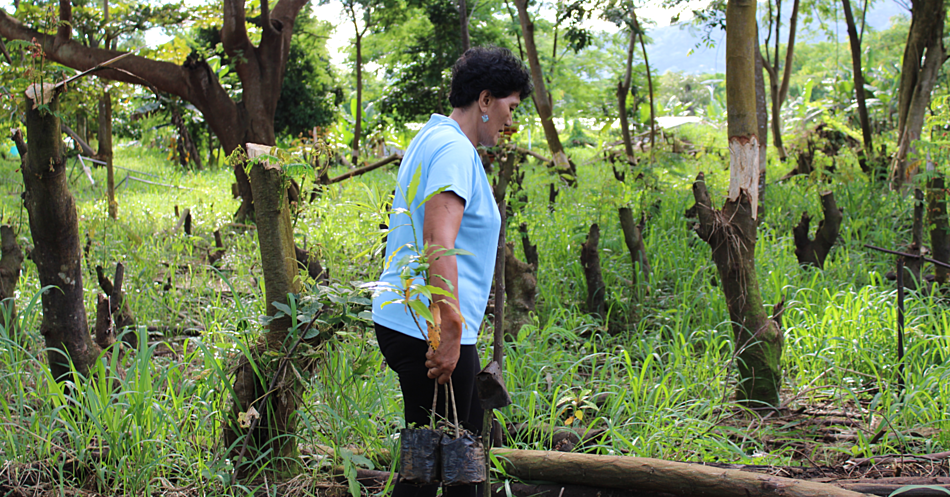 M.N.R.E., S.A.S.N.O.C. team up to plant 500 trees 