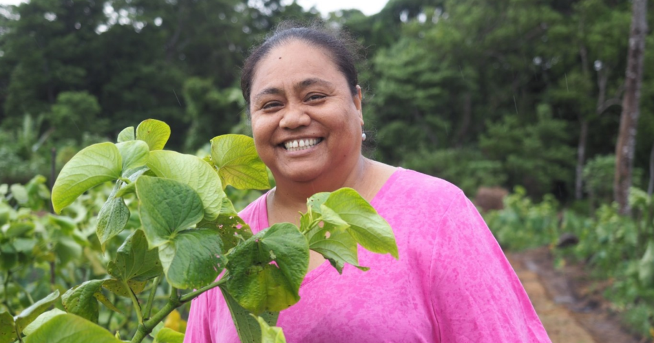 How A.D.B. and Australia are strengthening Samoa's agribusiness