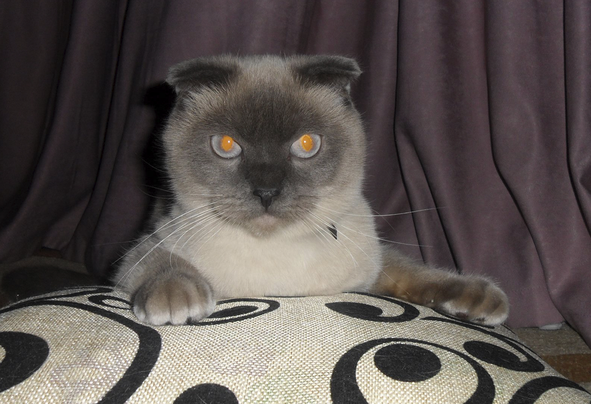 Putin says St. Petersburg explosion was terror attack