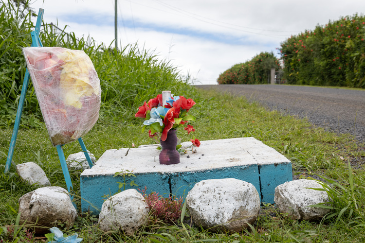 Helping to catch a killer on the loose