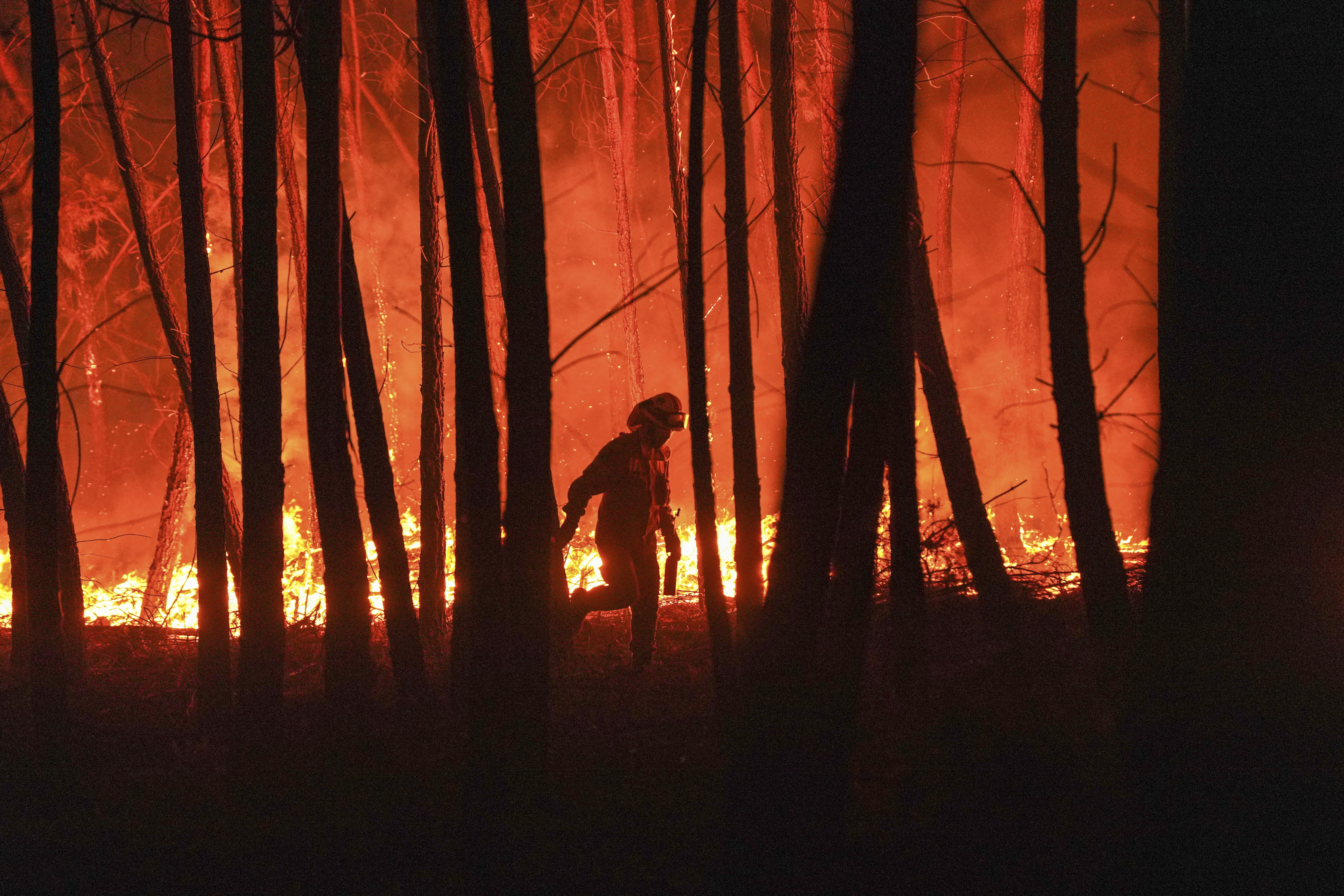 Portugal: Number of wildfires, scorched areas falls by half