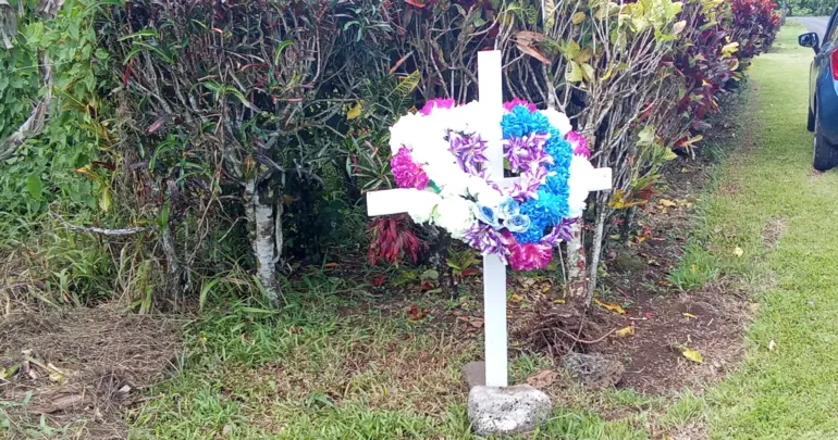 Car kills woman walking on roadside