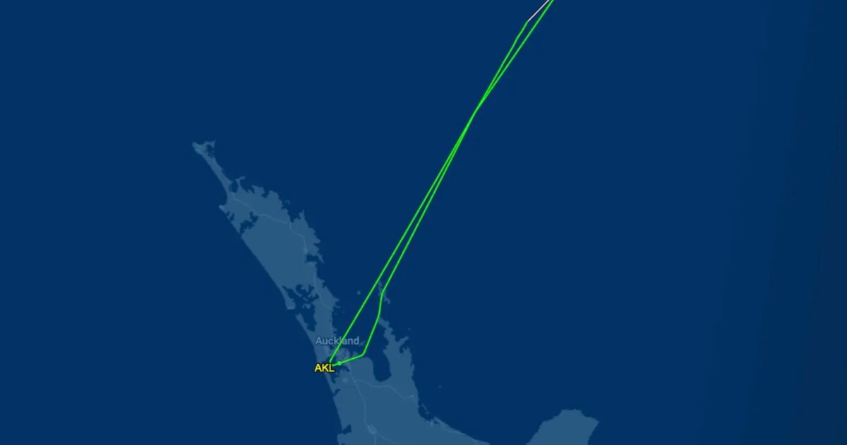 Air NZ Samoa flight returns to AKL after hydraulic warning