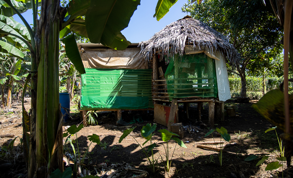 Father shares family's everyday battles