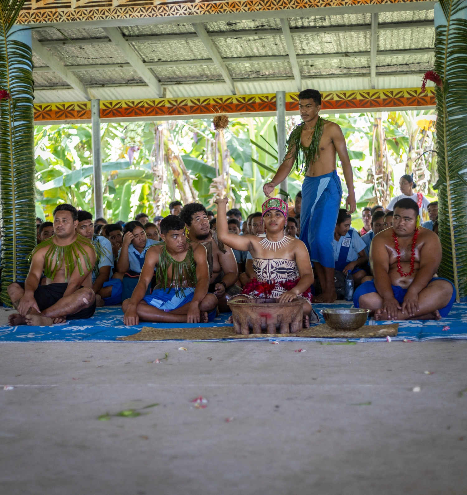 Pacific Islands kava producing countries agree on regional plan