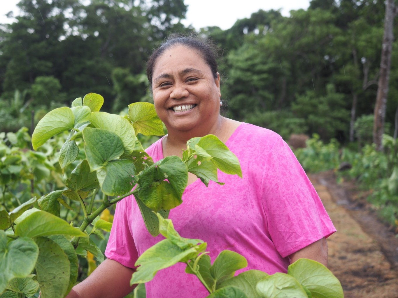 How A.D.B. and Australia are strengthening Samoa's agribusiness
