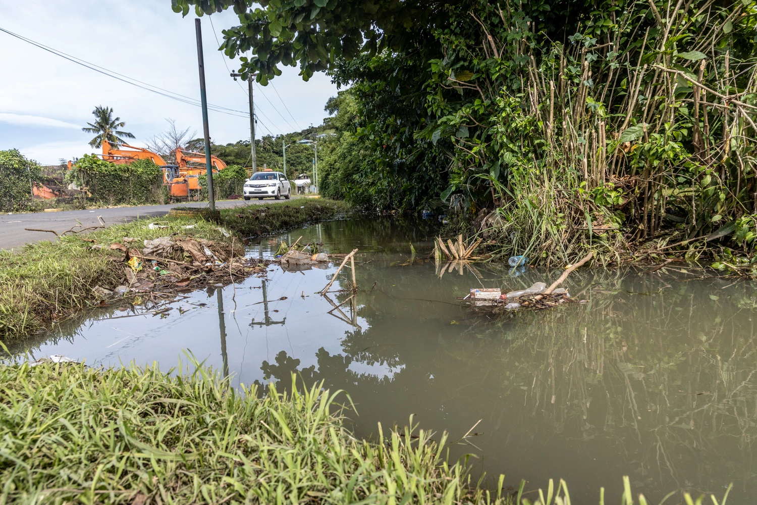 Surge in dengue raises concerns 
