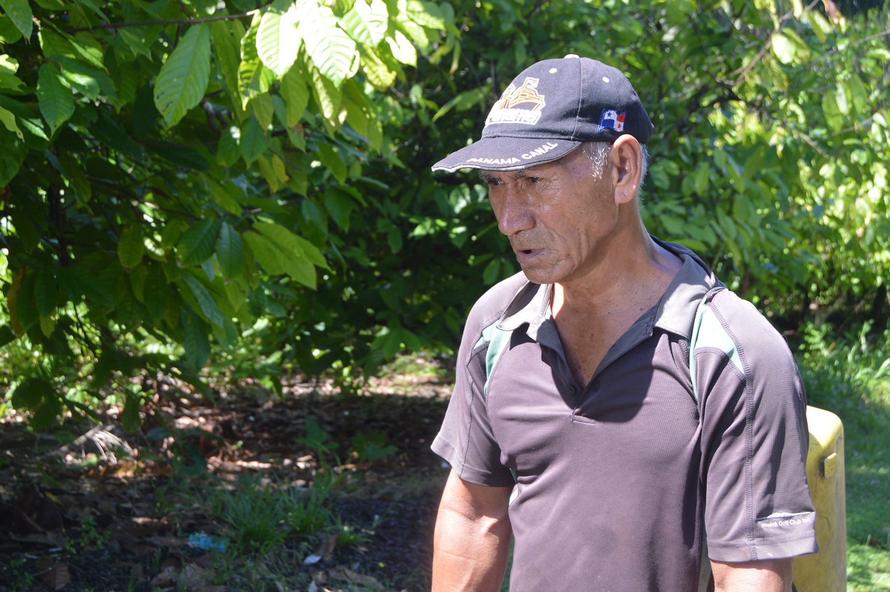 Hulk Hogan reinstated into wrestling Hall of Fame