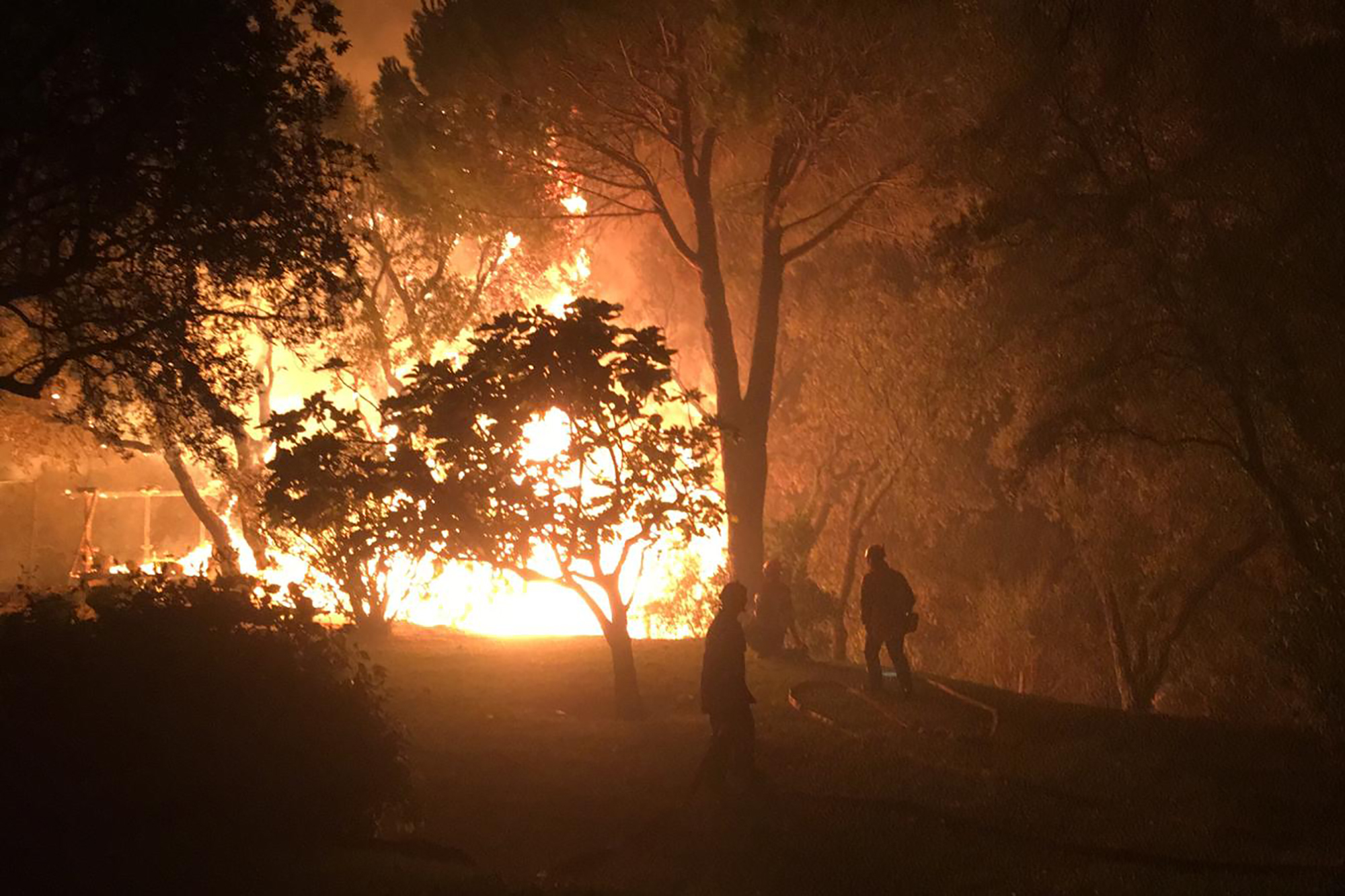 Thousands evacuated as fire sweeps through French forests