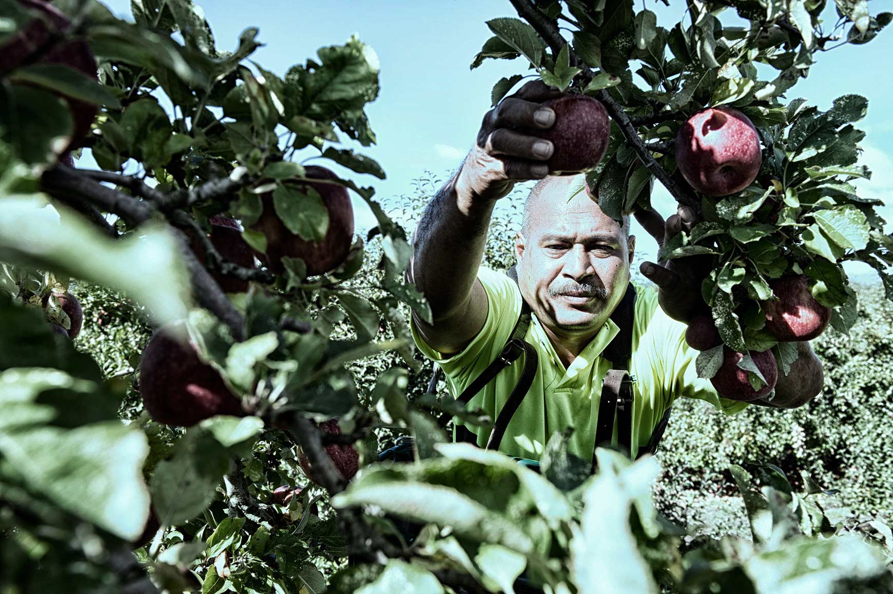 Employers hope to recruit more Samoans 