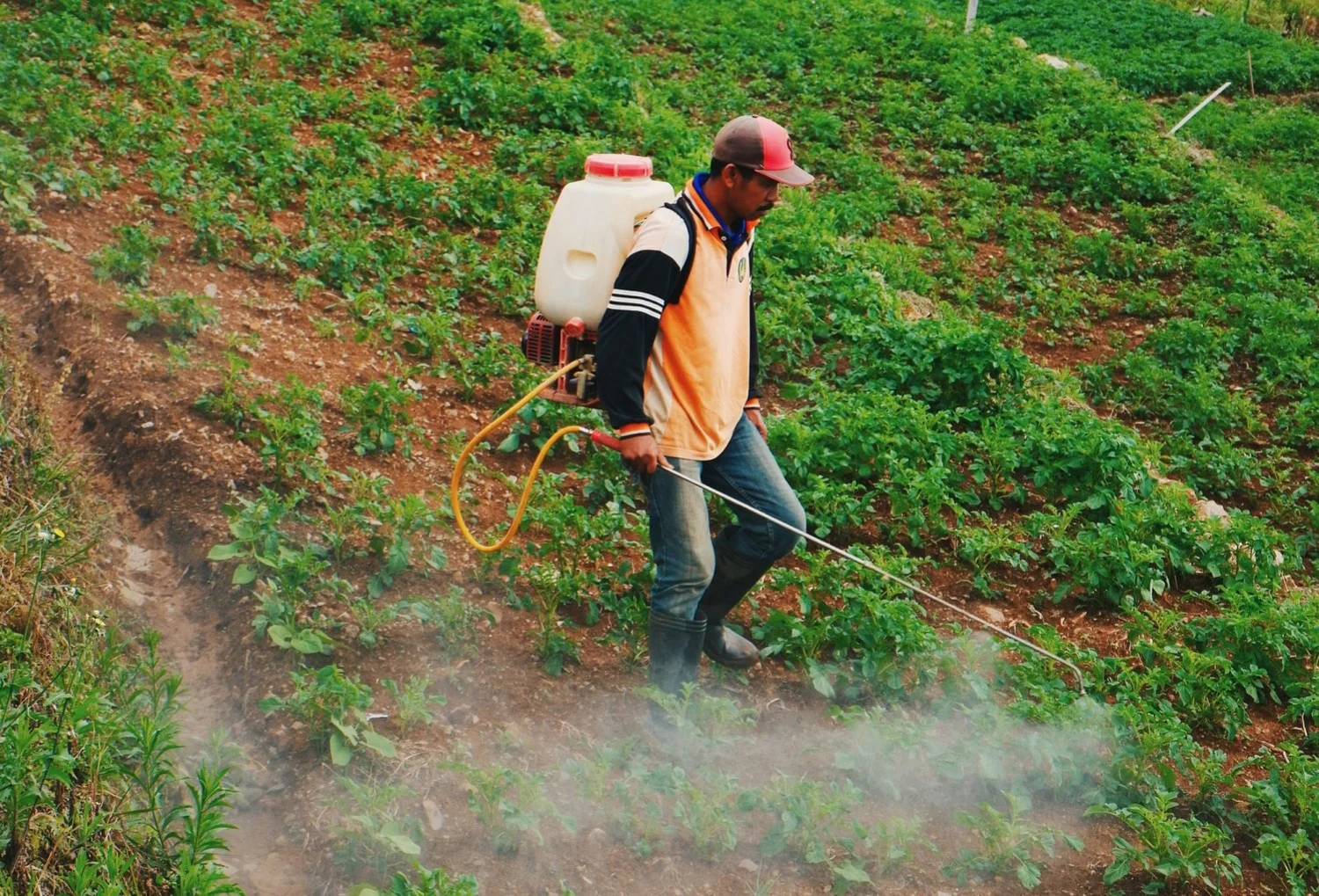 Justice Vui's letter to M.A.F.: No evidence to ban paraquat - Rubbish!!