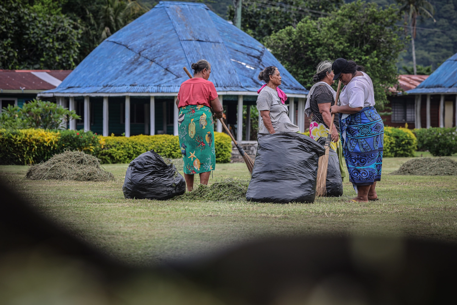 65 more dengue cases 