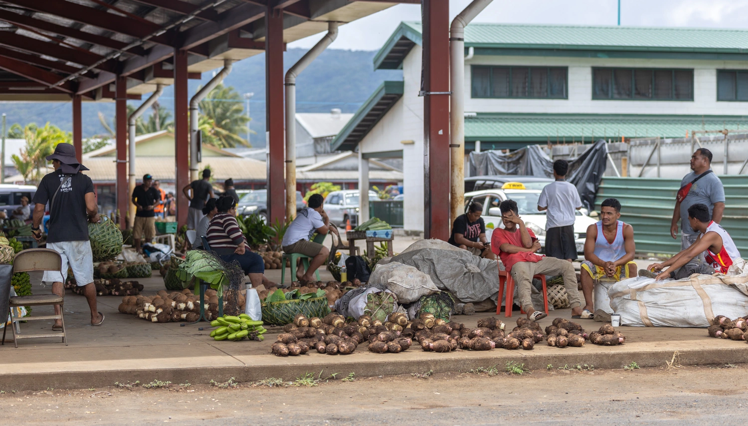 Boosting domestic agriculture in Fiji, Samoa, and Solomon Islands