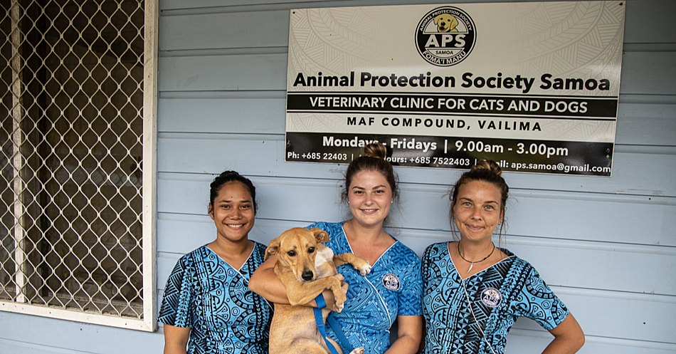 'Killer' chemical ban urged